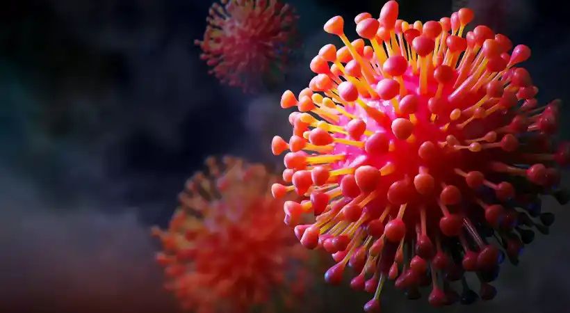 ഗുജറാത്തില്‍ ചന്ദിപുര വൈറസ് ബാധ; രണ്ടു കുട്ടികള്‍ കൂടി മരിച്ചു