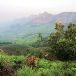 വനഭൂമി പട്ടയം: അപേക്ഷ നല്‍കാനുള്ള സമയം ജൂലൈ 30 വരെ നീട്ടി