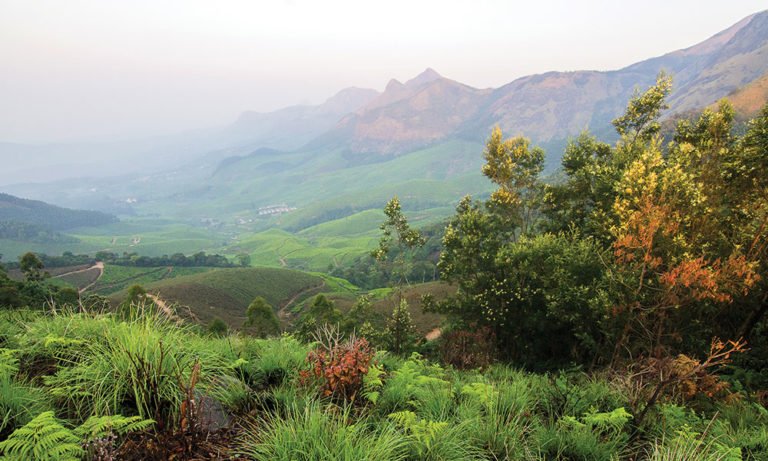 വനഭൂമി പട്ടയം: അപേക്ഷ നല്കാനുള്ള സമയം ജൂലൈ 30 വരെ നീട്ടി