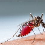 സിക്ക വൈറസ്; പ്രതിരോധ നടപടികൾ സ്വീകരിക്കുമെന്ന് ആരോഗ്യ വകുപ്പ്