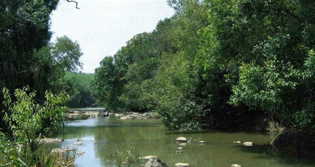 വയനാട് കുറുവ ദ്വീപില്‍ സംസ്ഥാന സര്‍ക്കാര്‍ നടത്തുന്ന നിര്‍മാണപ്രവര്‍ത്തനങ്ങള്‍ തടഞ്ഞ് ഹൈക്കോടതി