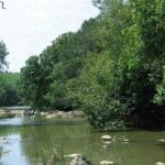 വയനാട് കുറുവ ദ്വീപില്‍ സംസ്ഥാന സര്‍ക്കാര്‍ നടത്തുന്ന നിര്‍മാണപ്രവര്‍ത്തനങ്ങള്‍ തടഞ്ഞ് ഹൈക്കോടതി