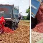 റോഡ് നിര്‍മ്മാണത്തിനെതിരെ പ്രതിഷേധം; 2 സ്ത്രീകളെ ജീവനോടെ കഴുത്തറ്റം മണ്ണിട്ട് മൂടി (വീഡിയോ)