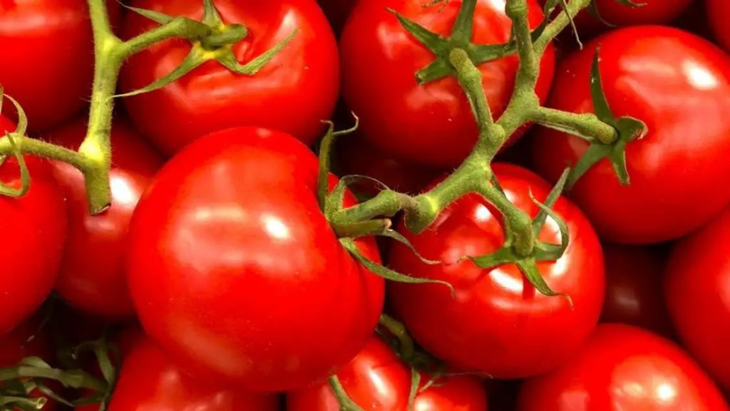 കുതിച്ചുയര്‍ന്ന് തക്കാളി വില