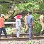 റെയില്‍വെ ട്രാക്കില്‍ മരം വീണ് ട്രെയിൻ ഗതാഗതം തടസ്സപ്പെട്ടു