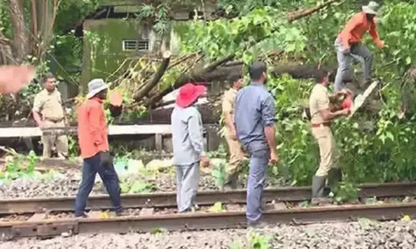റെയില്‍വെ ട്രാക്കില്‍ മരം വീണ് ട്രെയിൻ ഗതാഗതം തടസ്സപ്പെട്ടു