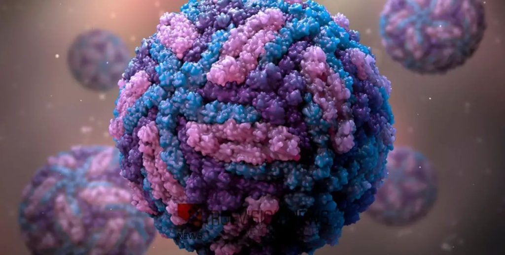 സിക്ക വൈറസ്; സ്ഥിരീകരിച്ചത് 8 കേസുകള്‍, ജാഗ്രതാ നിര്‍ദേശങ്ങളുമായി കേന്ദ്ര സര്‍ക്കാര്‍