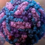 സിക്ക വൈറസ്; സ്ഥിരീകരിച്ചത് 8 കേസുകള്‍, ജാഗ്രതാ നിര്‍ദേശങ്ങളുമായി കേന്ദ്ര സര്‍ക്കാര്‍