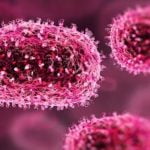 ചന്ദിപുര വൈറസ് ബാധ: മരണം 20 ആയി