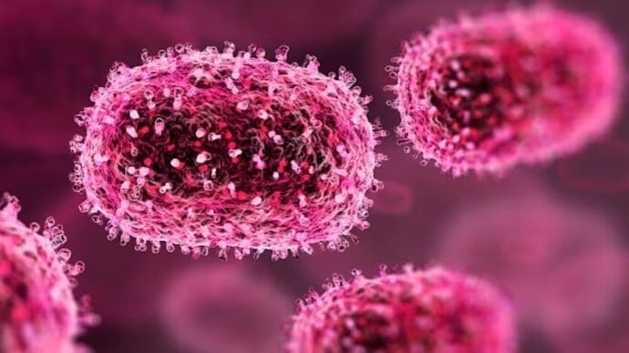 ചന്ദിപുര വൈറസ് ബാധ: മരണം 20 ആയി