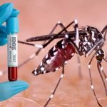 ഡെങ്കിപ്പനി ബാധിച്ചുള്ള മരണങ്ങൾ തെറ്റായി റിപ്പോർട്ട്‌ ചെയ്തു; രണ്ട് ആശുപത്രികൾക്ക് നോട്ടീസ്