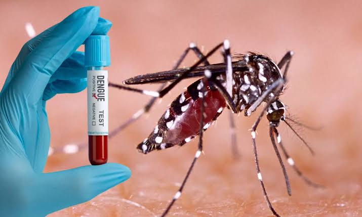 ഡെങ്കിപ്പനി ബാധിച്ചുള്ള മരണങ്ങൾ തെറ്റായി റിപ്പോർട്ട്‌ ചെയ്തു; രണ്ട് ആശുപത്രികൾക്ക് നോട്ടീസ്