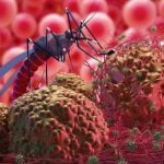 രാജസ്ഥാനില്‍ മൂന്ന് വയസുകാരിക്ക് ചാന്ദിപുര വൈറസ് സ്ഥിരീകരിച്ചു