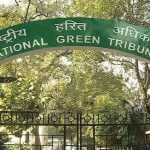 വയനാട് ദുരന്തം; ദേശീയ ഹരിത ട്രൈബ്യൂണൽ സ്വമേധയാ കേസെടുക്കും