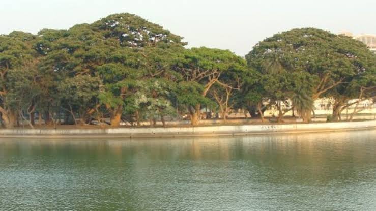 ബെംഗളൂരുവിലെ 205 തടാകങ്ങളുടെ നടത്തിപ്പ് സ്വകാര്യ കമ്പനിയെ ഏല്പിക്കും