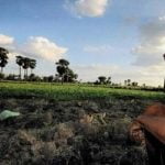 സംസ്ഥാനത്ത് 15 മാസത്തിനിടെ 1,182 കർഷകർ ആത്മഹത്യ ചെയ്തതായി റിപ്പോർട്ട്‌