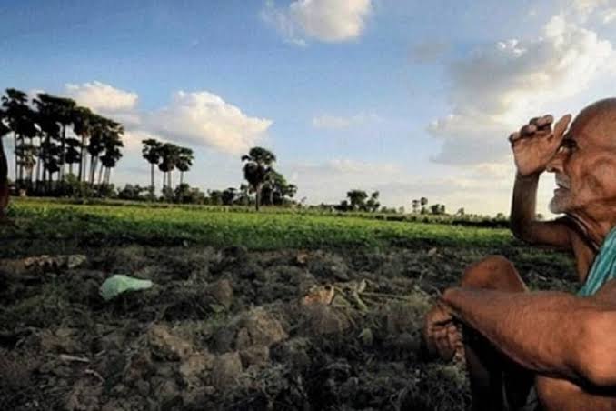 സംസ്ഥാനത്ത് 15 മാസത്തിനിടെ 1,182 കർഷകർ ആത്മഹത്യ ചെയ്തതായി റിപ്പോർട്ട്