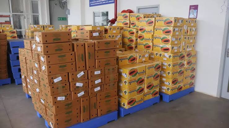 മംഗളൂരു വിമാനത്താവളത്തിൽ ഇനി അന്താരാഷ്ട്ര ചരക്ക് വിമാന സർവീസുകളും