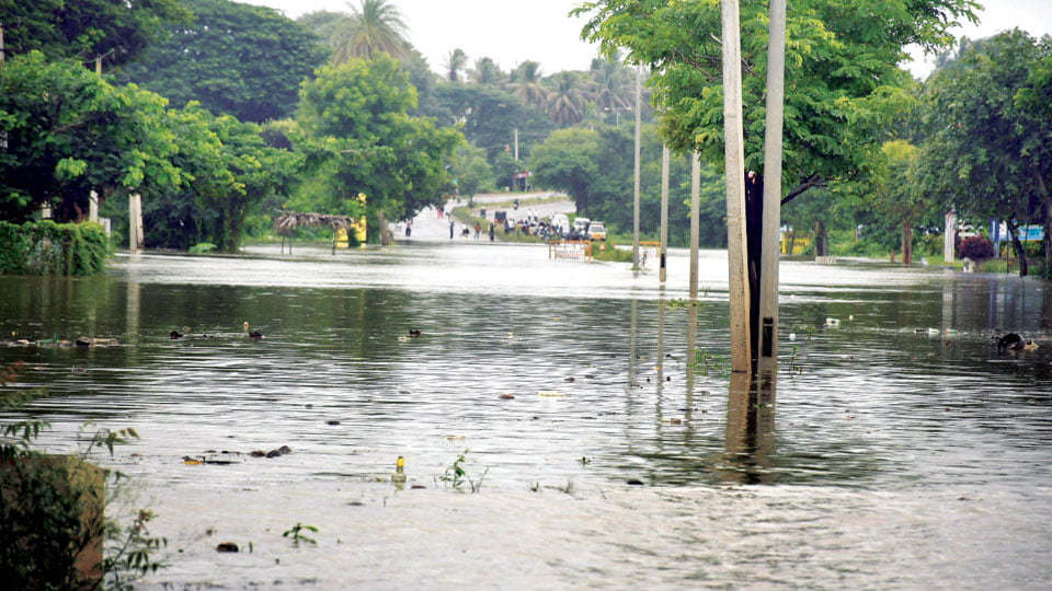 നഞ്ചൻകോട് പാതയിൽ വെള്ളക്കെട്ട്; വാഹനങ്ങൾ വഴിതിരിച്ചുവിട്ടു