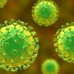 നിപ; 84 പേരുടെ സാമ്പിൾ പരിശോധനാഫലം നെഗറ്റീവ്