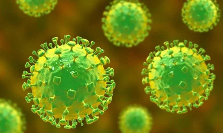 നിപ; നാലു പേരുടെ കൂടി ഫലം നെഗറ്റീവ്