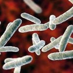 മലപ്പുറം ജില്ലയില് നാല് കുട്ടികള്ക്ക് ഷിഗല്ല രോഗം സ്ഥിരീകരിച്ചു