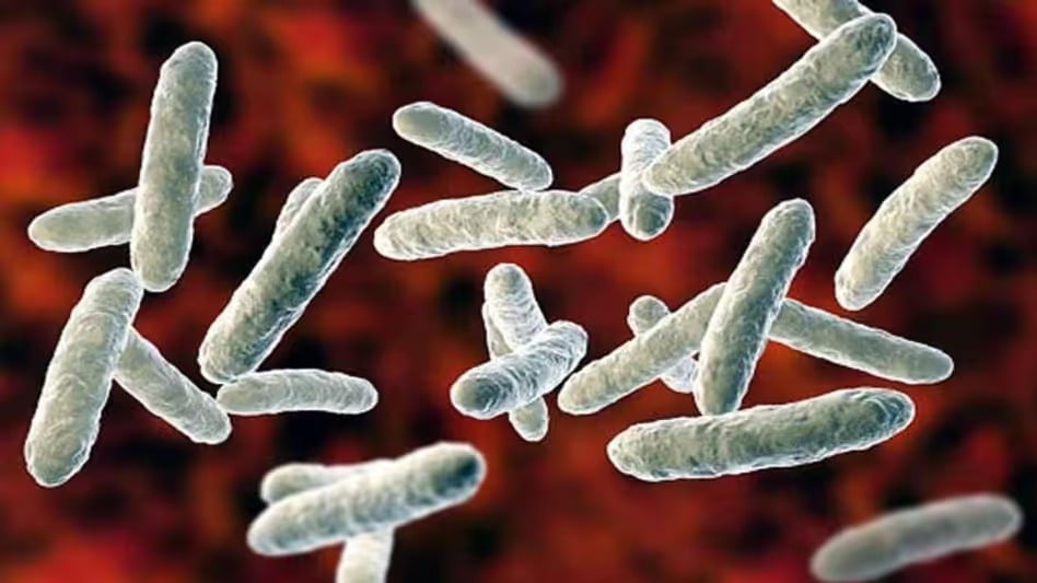 മലപ്പുറം ജില്ലയില്‍ നാല് കുട്ടികള്‍ക്ക് ഷിഗല്ല രോഗം സ്ഥിരീകരിച്ചു