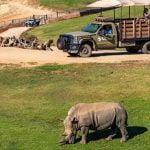 വിനോദസഞ്ചാരത്തിന്‌ പുത്തനുണർവാകും; കണ്ണൂരിൽ 256 ഏക്കറിൽ സൂ സഫാരി പാർക്ക് സ്ഥാപിക്കുന്നു