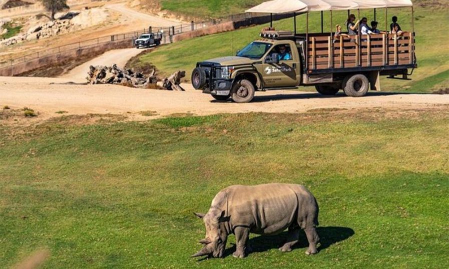 വിനോദസഞ്ചാരത്തിന്‌ പുത്തനുണർവാകും; കണ്ണൂരിൽ 256 ഏക്കറിൽ സൂ സഫാരി പാർക്ക് സ്ഥാപിക്കുന്നു