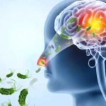 തിരുവനന്തപുരത്ത് ഒരാൾക്കുകൂടി അമീബിക് മസ്തിഷ്ക ജ്വരം