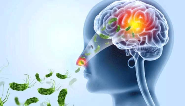 തിരുവനന്തപുരത്ത് ഒരാൾക്കുകൂടി അമീബിക് മസ്തിഷ്ക ജ്വരം