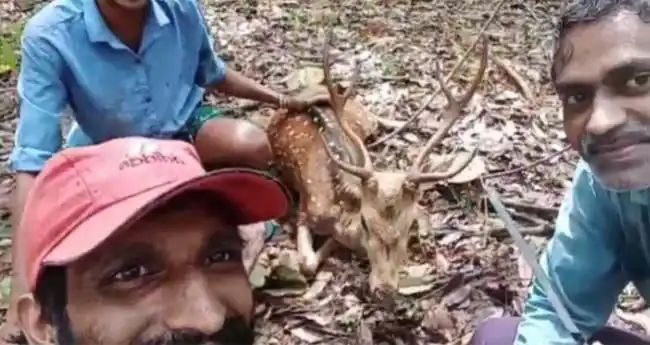 മാനിനെ കെട്ടിയിട്ട് വീഡിയോ ചിത്രീകരിച്ചു; നാലുപേര്‍ക്കെതിരേ കേസ്