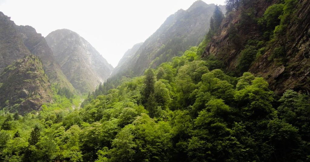 വയനാട്ടിലെ 13 വില്ലേജുകൾ ഉൾപ്പെടെ പശ്ചിമഘട്ടം പരിസ്ഥിതി ലോല മേഖല; കേന്ദ്രത്തിന്റെ കരട് വിജ്ഞാപനം പുതുക്കിയിറക്കി