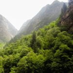 വയനാട്ടിലെ 13 വില്ലേജുകൾ ഉൾപ്പെടെ പശ്ചിമഘട്ടം പരിസ്ഥിതി ലോല മേഖല; കേന്ദ്രത്തിന്റെ കരട് വിജ്ഞാപനം പുതുക്കിയിറക്കി