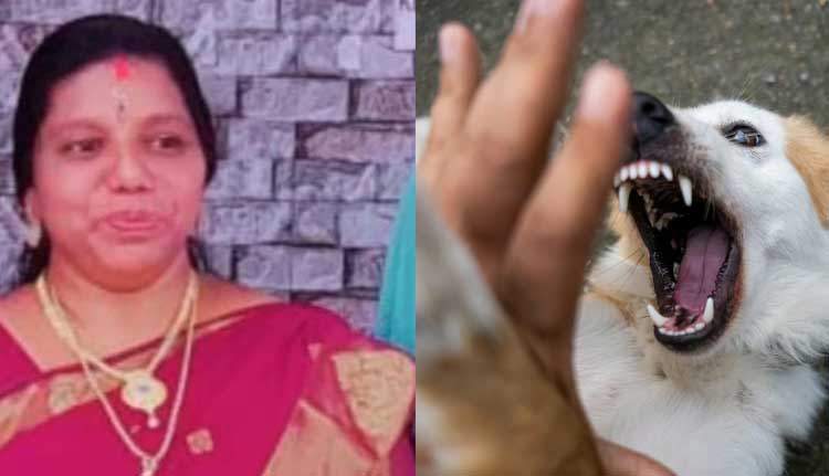 വളര്‍ത്തുനായ മാന്തിയത് കാര്യമാക്കിയില്ല; പേ വിഷബാധയേറ്റ വീട്ടമ്മ മരിച്ചു