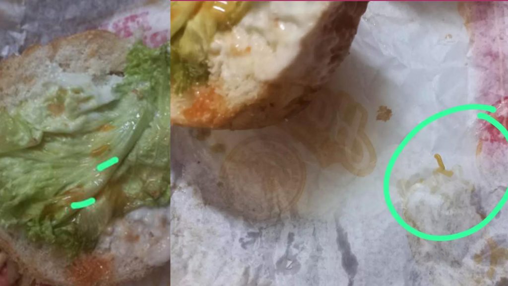 ബർ​ഗറിൽ ജീവനുള്ള പുഴുവിനെ കിട്ടിയെന്ന് പരാതി; രണ്ട് പേർ ആശുപത്രിയിൽ