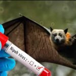 മലപ്പുറത്തെ നിപ: സമ്പര്ക്കപ്പട്ടികയിലെ രണ്ടുപേരുടെ പരിശോധനാഫലം കൂടി നെഗറ്റീവ്