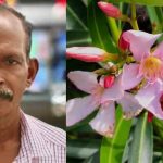 കോട്ടയത്ത് വിഷാംശം ഉള്ളിൽചെന്ന് ഗൃഹനാഥൻ മരിച്ചു; അരളി ഇലയുടെ ജ്യൂസ് കുടിച്ചതായി ബന്ധുക്കൾ