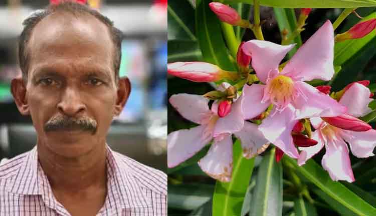 കോട്ടയത്ത് വിഷാംശം ഉള്ളിൽചെന്ന് ഗൃഹനാഥൻ മരിച്ചു; അരളി ഇലയുടെ ജ്യൂസ് കുടിച്ചതായി ബന്ധുക്കൾ