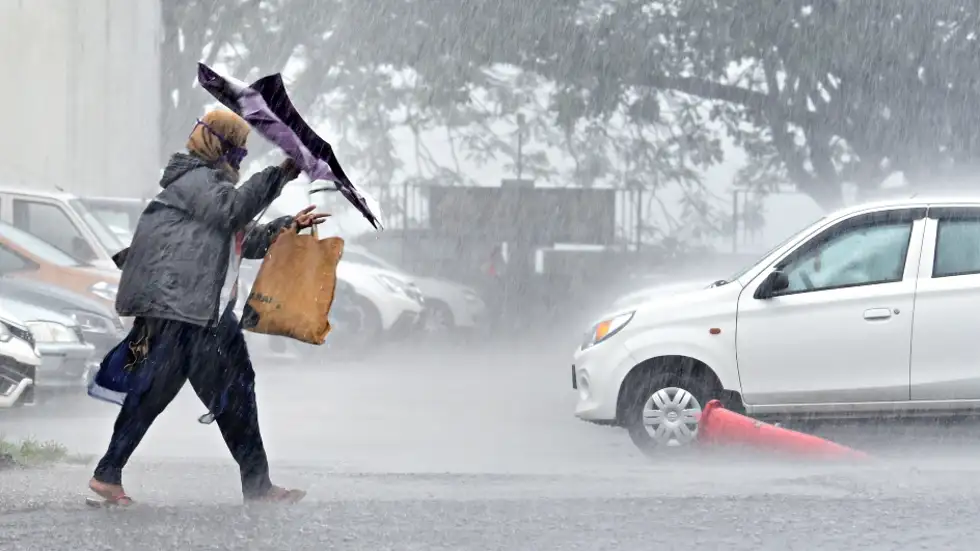 എറണാകുളം ജില്ലയിലെ വിദ്യാഭ്യാസ സ്ഥാപനങ്ങൾക്ക് നാളെ അവധി