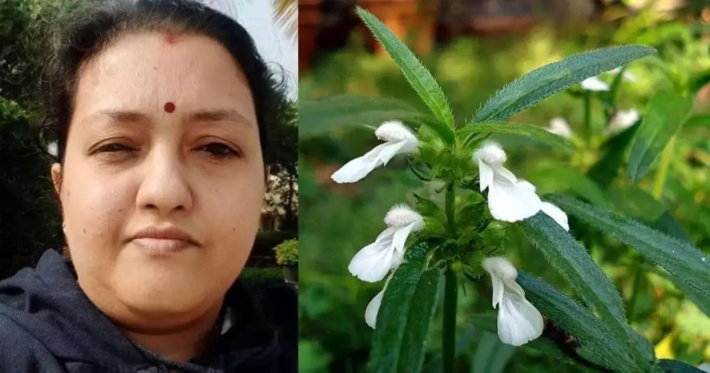 തുമ്പച്ചെടി കൊണ്ടുണ്ടാക്കിയ തോരൻ കഴിച്ചു; ആലപ്പുഴയില്‍ യുവതിക്ക് ദാരുണാന്ത്യം