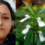 തുമ്പച്ചെടി കൊണ്ടുണ്ടാക്കിയ തോരൻ കഴിച്ചു; ആലപ്പുഴയില്‍ യുവതിക്ക് ദാരുണാന്ത്യം