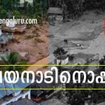 മലയാളം മിഷൻ വയനാടിനൊപ്പം