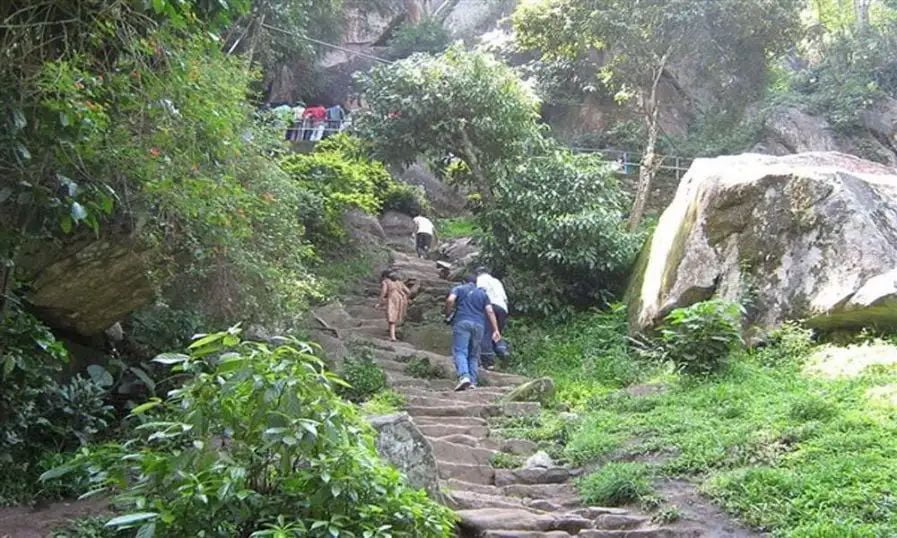 വയനാട്ടില്‍ ഭൂമിക്കടിയില്‍ നിന്ന് വന്‍ ശബ്ദം; ഭൂചലനമെന്ന് സംശയം