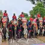 മൈസൂര ദസറയിലേക്ക് ഇത്തവണ തിരഞ്ഞെടുത്തത് 14 ആനകളെ