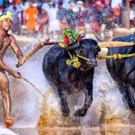 ബെംഗളൂരുവിൽ കമ്പളയ്ക്ക് 26ന് തുടക്കം