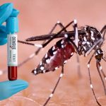 ബെംഗളൂരുവിൽ ഡെങ്കിപ്പനി കേസുകളുടെ എണ്ണം പതിനായിരം കടന്നു