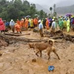 ഉരുൾപൊട്ടൽ; കാണാതായവർക്കായി തിരച്ചിൽ ഇന്നും തുടരും