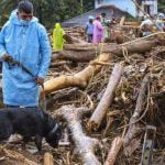 വയനാട് ദുരന്തം; കാണാതായവർക്കായി ഇന്നും തിരച്ചിൽ