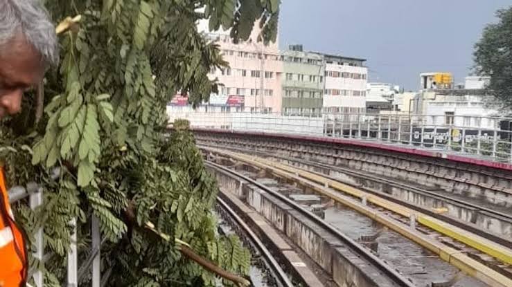 കനത്ത മഴ; മെട്രോ പാതയിലേക്ക് മരം വീണു